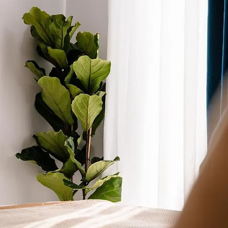 Apartamento Margaret Luxury