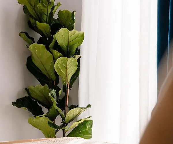 公寓 Margaret Luxury